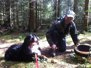 Thomas og Gaissa på sopptur i Gulliskogen